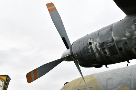 DSC_0398.jpg