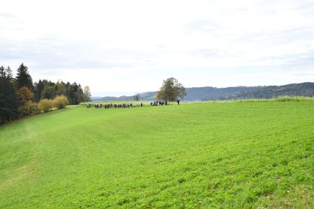 DSC_2774.jpg