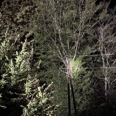 IMG_1648.JPEG