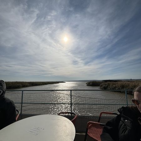 IMG_2104.JPEG