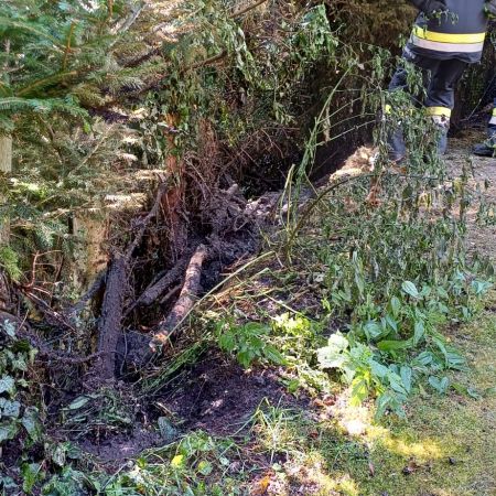 Nachlöscharbeiten Wiesenbrand Hermsdorf (3).jpg