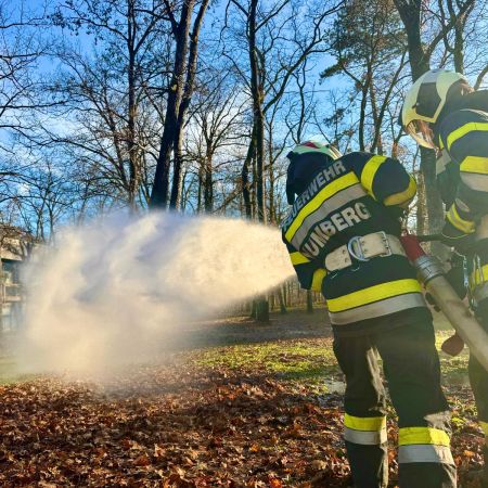 WhatsApp Image 2025-11-29 at 16.17.51.jpeg