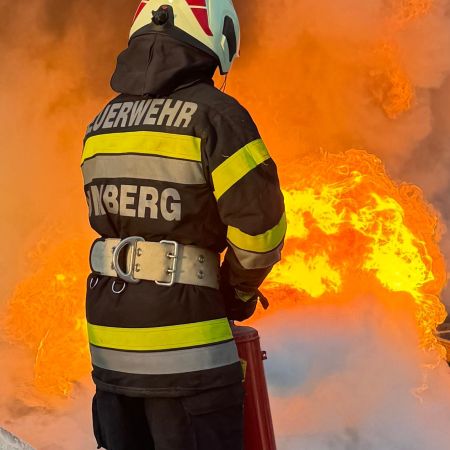 WhatsApp Image 2025-11-29 at 16.17.52.jpeg